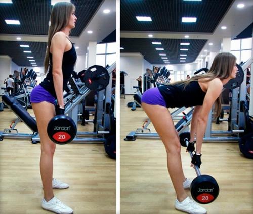 Программа тренировок в зале для девушек на месяц. Программа упражнений в тренажерном зале для девушек для похудения и накачки мышц