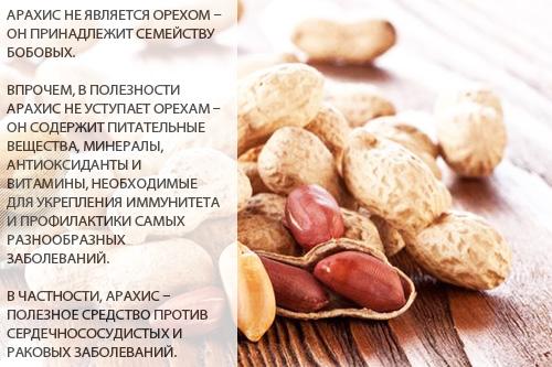 Толстеют ли от орехов арахис. Орехи: жиры, белки, углеводы 03 Толстеют ли от орехов арахис. Орехи: жиры, белки, углеводы 03