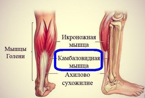 Можно ли похудеть за неделю до Нового года, если весь день сидеть за компьютером. Худеть сидя почти целый день за компьютером - мой опыт