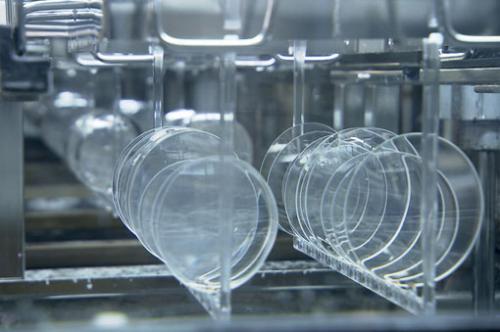 Толщина гиалинового хряща: значение и влияние на здоровье глаз 01 Толщина гиалинового хряща: значение и влияние на здоровье глаз 01