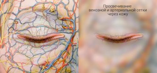 Как бороться с темными кругами под глазами. Можно ли по цвету темных кругов под глазами определить их причину? 05 Как бороться с темными кругами под глазами. Можно ли по цвету темных кругов под глазами определить их причину? 05