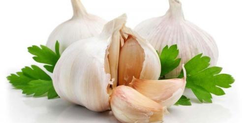 Как чай с чесноком влияет на процесс похудения. Что такое чесночная диета