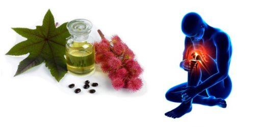 Какие вещества содержатся в касторовом масле и как они влияют на здоровье суставов. Касторовое масло для здоровых и крепких суставов