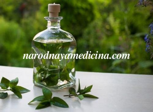 Рецепты приготовления тоника для сухой кожи. Тоник для лица в домашних условиях с огурцом 14 Рецепты приготовления тоника для сухой кожи. Тоник для лица в домашних условиях с огурцом 14