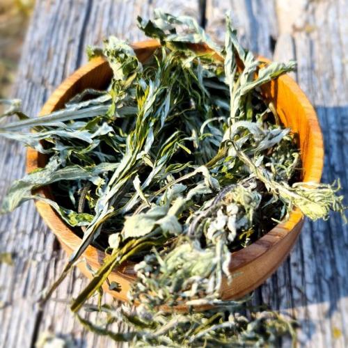 Уход за кожей травы: основные принципы и рекомендации 02