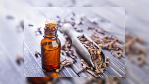 Тоник из гвоздики. Рецепты здоровья и красоты: гвоздика поможет избавиться от морщин