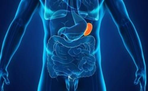 Повышенная селезенка: как правильно питаться для поддержания здоровья 02 Повышенная селезенка: как правильно питаться для поддержания здоровья 02