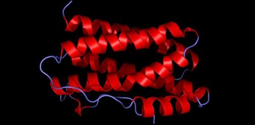 Один укол в неделю от диабета. Один укол в неделю нормализует сахар, избавит от лишнего веса и укрепит кости
