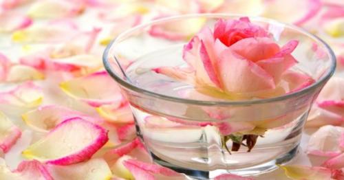 Лепестки роз залить кипятком. Как приготовить розовую воду в домашних условиях?