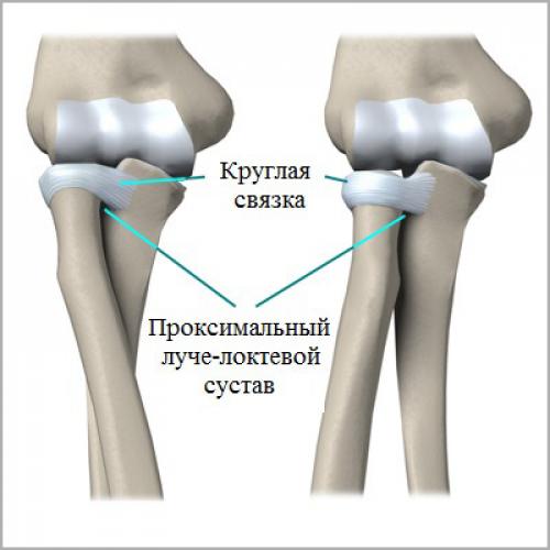 Какие физические упражнения могут укреплять локтевой сустав