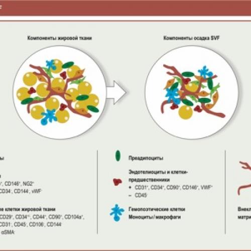 Укол в колено гиалуроновой кислоты последствия. Какие препараты вводят в сустав и с какой целью 04
