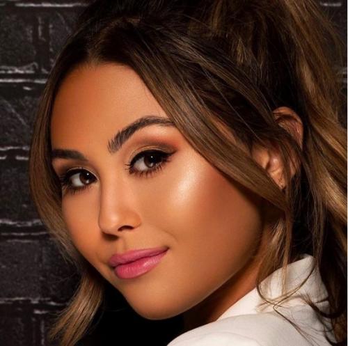 Как правильно наносить румяна и хайлайтер. Хайлайтер: подробное бьюти-досье