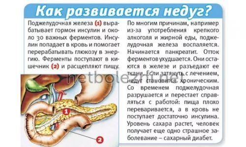 Лечение поджелудочной железы эффективно и правильно. Что такое панкреатит? 02