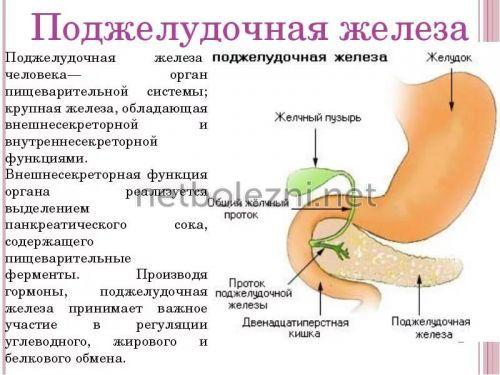 Лечение поджелудочной железы эффективно и правильно. Что такое панкреатит? 01