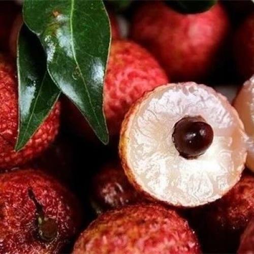 Какие фрукты из Китая наиболее популярны на мировом рынке. Краткий гид по китайским фруктам