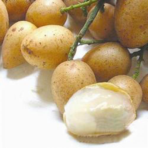 Какие фрукты из Китая наиболее популярны на мировом рынке. Краткий гид по китайским фруктам