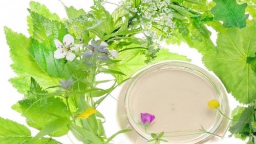 Бережный уход за кожей. Какие бывают типы кожи. 04 Бережный уход за кожей. Какие бывают типы кожи. 04