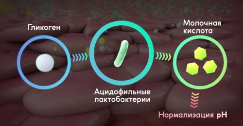 Восстановление организма после приёма антибиотиков. Правила приема антибиотиков 02