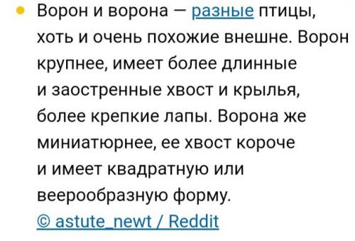 Какие мифы наиболее популярны в наше время. Мифы современного мира. Разбор статьи