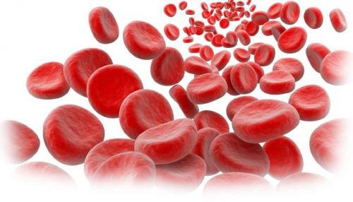 Малая грудь: как сделать ее больше и красивее 02