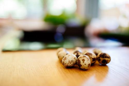 Модельная диета 3 дня выход. На 3 дня