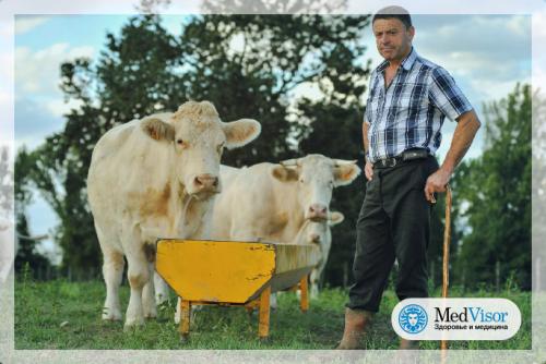 Могут ли животные передавать китайский коронавирус человеку. Являются ли животные переносчиками коронавируса?