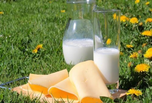 Почему козье молоко часто называют жидким золотом. Самый полный обзор молочных продуктов: каковы их польза и вред для человека