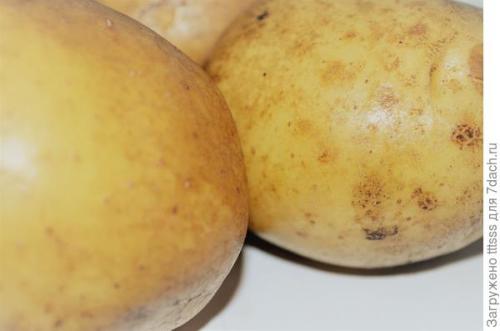 Могут ли картофельные маски помочь справиться с прыщами и воспалениями на коже. Картофельная маска в борьбе против морщин, угрей и прыщей. Омолаживающий эффект