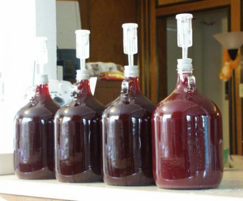 Миф или правда: виноград - мочегонное средство 14 Миф или правда: виноград - мочегонное средство 14