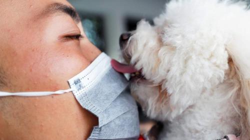 - Как китайский рынок диких животных стал источником коронавируса 05