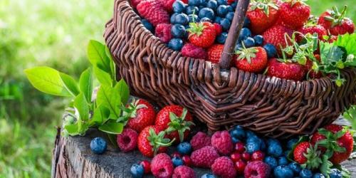 Каков принцип действия малины слим на организм. Малина для похудения: полезные свойства ягоды