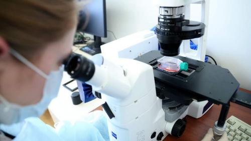 Позитивные тенденции: график выздоровления от COVID-19 в России идет вверх 06