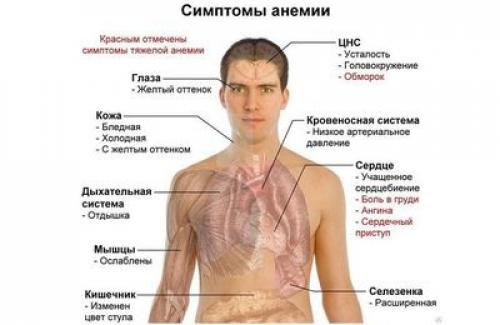 Как простуда влияет на суставы: причины боли и способы облегчения 07 Как простуда влияет на суставы: причины боли и способы облегчения 07