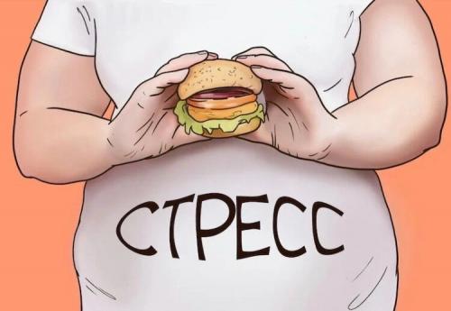 Расписание дня для худеющих: как организовать свой день для эффективного похудения 08 Расписание дня для худеющих: как организовать свой день для эффективного похудения 08
