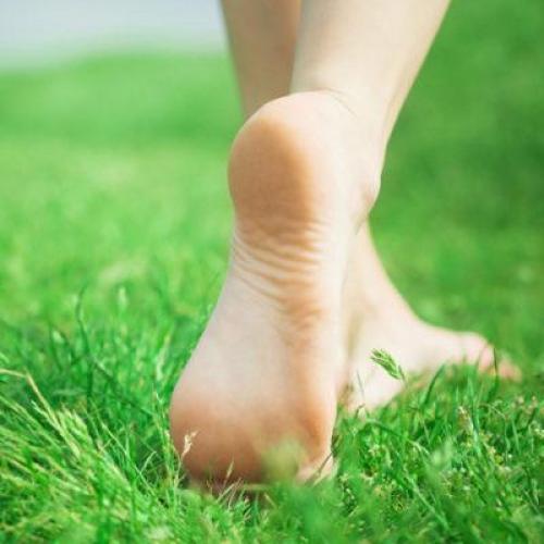 Как можно использовать свеклу для укрепления волос. Как использовать?