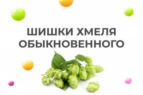 Все, что нужно знать о хондроитине: свойства, применение и преимущества мази для наружного использования 07 Все, что нужно знать о хондроитине: свойства, применение и преимущества мази для наружного использования 07