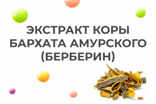 Все, что нужно знать о хондроитине: свойства, применение и преимущества мази для наружного использования 06 Все, что нужно знать о хондроитине: свойства, применение и преимущества мази для наружного использования 06