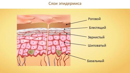 Шишка на пальце ноги похожая на мозоль, как убрать. Лопнула мозоль на ноге