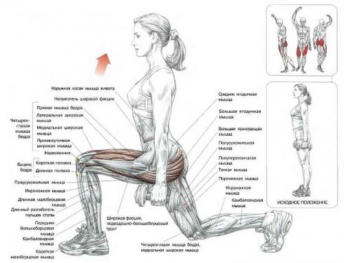 Можно ли делать эту тренировку дома. Самостоятельная работа над собой — изучаем упражнения