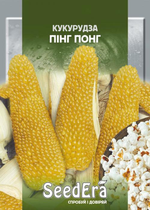 Какой самый высокий по своему росту сорт кукурузы. Сорта кукурузы – 42 лучших сорта кукурузы 2024 с описанием и фото