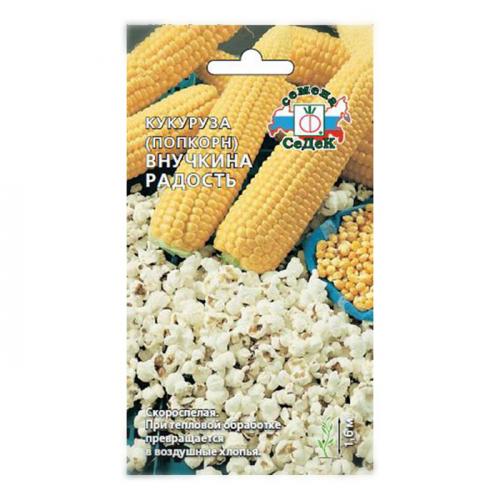 Какой самый высокий по своему росту сорт кукурузы. Сорта кукурузы – 42 лучших сорта кукурузы 2024 с описанием и фото