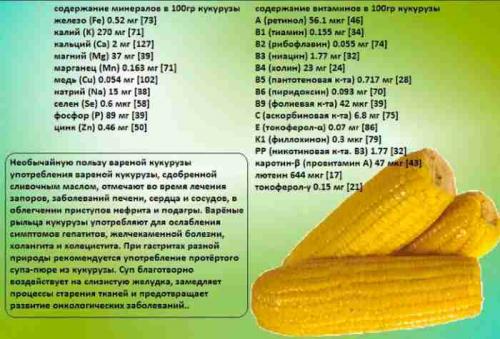 Какие питательные вещества содержит вареная кукуруза. Полезные свойства кукурузы