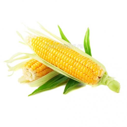 Содержит ли сладкая кукуруза много калорий. Кукуруза сладкая в початках