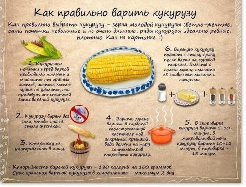 Вред и польза вареной кукурузы.