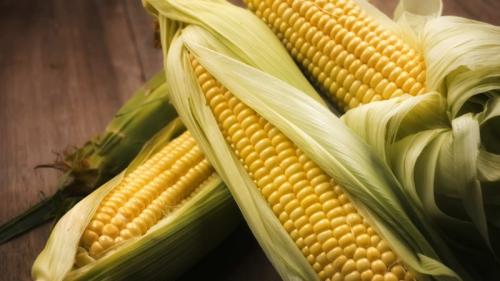 Какие нутриенты содержатся в кукурузе, которые помогают контролировать вес. Калорийность кукурузы и особенности её состава: витамины, минералы и полезные свойства царицы полей