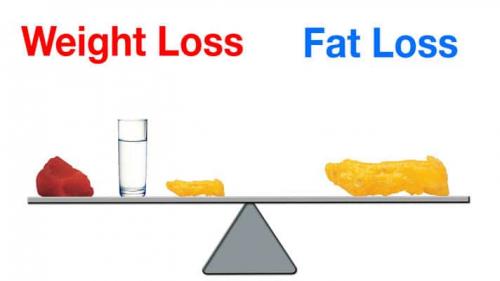 Какие факторы влияют на скорость потери веса за 21 день. Потеря жира и потеря веса
