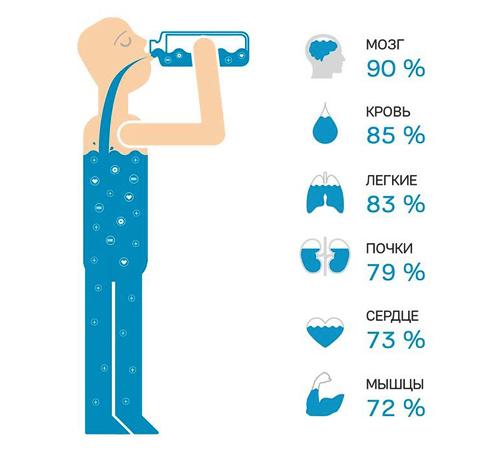 Каковы преимущества 21-дневного очищения для организма в целом. Как действует голод?