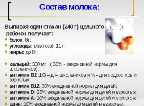 Цельное молоко. Как получают напиток, состав, упаковка