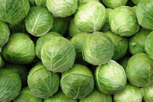 17 фактов о продуктах - сжигателях жира.  