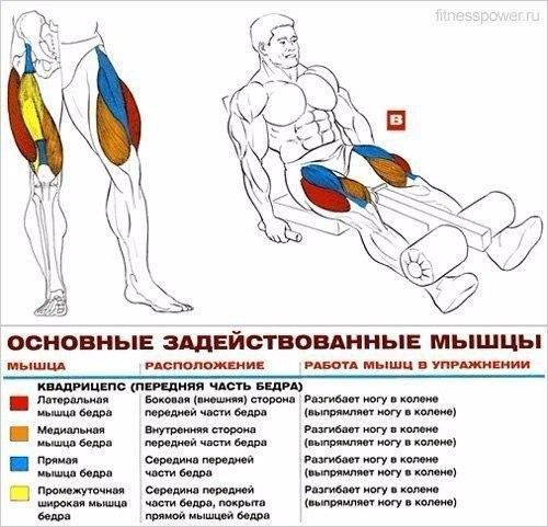 Шикарные ноги: основные упражнения для прокачки анатомия! 05